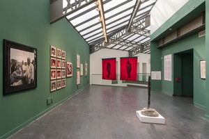 CentroCentro presenta una exposición innovadora sobre el Amazonas y su impacto actual