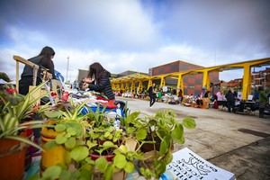 Rivas Vegan Fest regresa con charlas y talleres el 24 de mayo