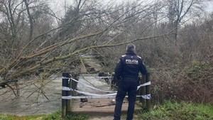 Aumenta el caudal de los ríos: el Ayuntamiento pide precaución