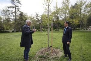 Más de 600 árboles nuevos embellecen Carabanchel