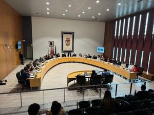 El Pleno del Ayuntamiento pide al Gobierno autonómico apoyo para el comercio local en Madrid