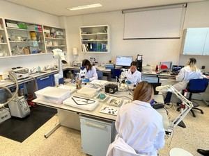 El SECYR se une al catálogo de E-RIHS, fortaleciendo la investigación patrimonial en Europa