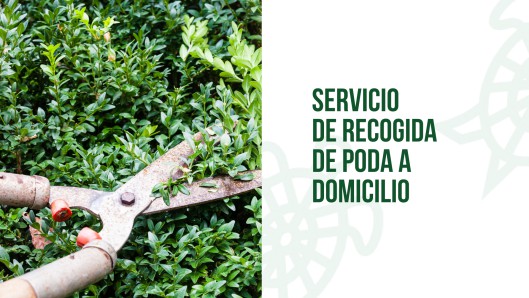 Aumenta la demanda del servicio de recogida de poda en Galapagar