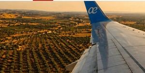 España avanza en la producción de combustibles sostenibles para aviación