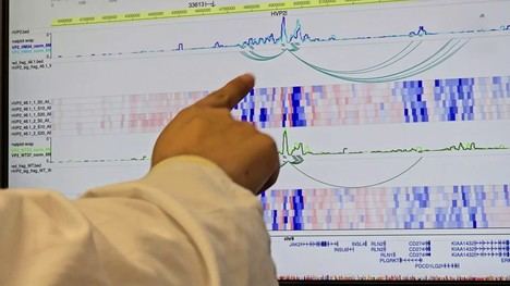 Descubren el papel de la proteína PD-L1 en enfermedades hematológicas crónicas