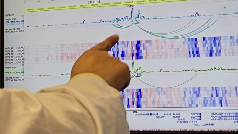Descubren el papel de la proteína PD-L1 en enfermedades hematológicas crónicas