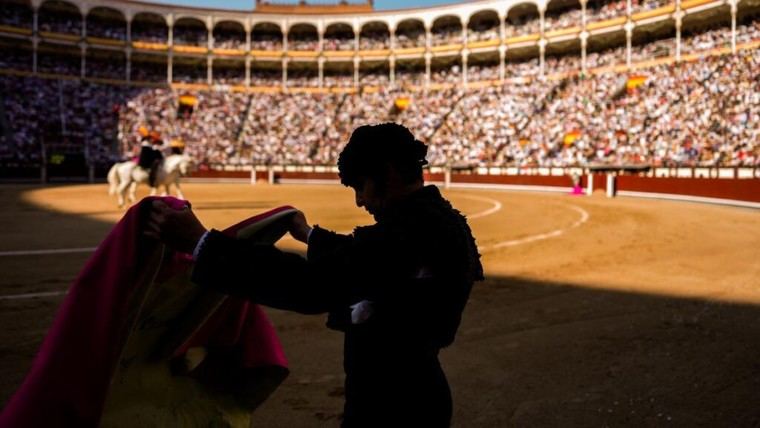 Actualizan el reglamento de espectáculos taurinos populares para fomentar su celebración en la región