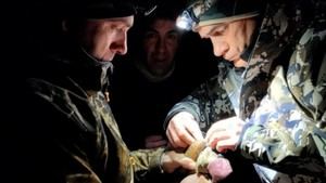 Madrid se une a un programa europeo para el seguimiento de la becada, un ave migratoria en peligro de extinción