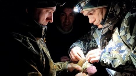 Madrid se une a un programa europeo para el seguimiento de la becada, un ave migratoria en peligro de extinción