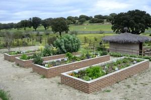 Boadilla publica los ganadores para los huertos urbanos