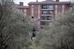 Rivas participa en el City Nature Challenge 2025 con un biomaratón de biodiversidad