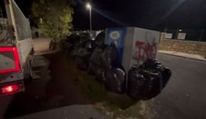 Prohibido tirar restos de poda en contenedores: sanciones y coste elevado para los vecinos